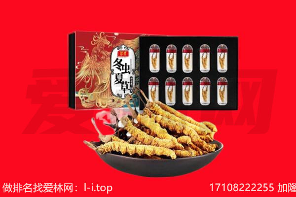 宛城区回收虫草.jpg
